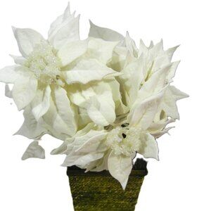 SEVEN (7) White Poinsettia STEMS 20in Brown Stems WEDDING CHRISTMAS